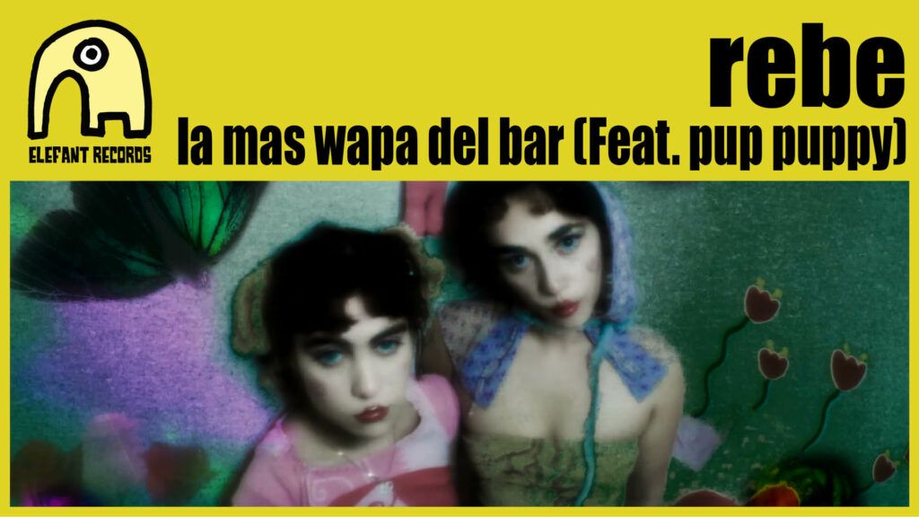 Imagen destacada de video: la mas wapa del bar [Video-Clip]
